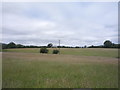 Grassland off Burnley Road (A671)