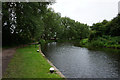 Erewash Canal at Lock #71 Stenson