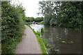 Erewash Canal near Larklands