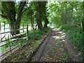 Footpath on Hubbard