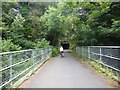 Cycle bridge west of Combe Down tunnel