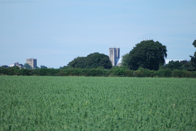 The cathedral over the pea field