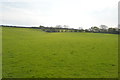 SX0956 : Cornish hillside by N Chadwick