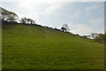 A cornish hillside