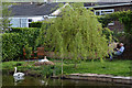 Tiverton : Grand Western Canal