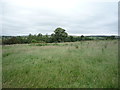 Grassland off Red Lees Road