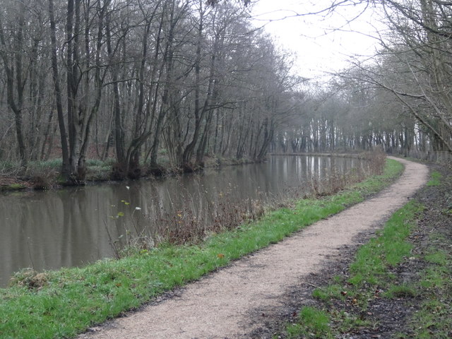 Birmingham and Worcester Canal beside Tunnel Wood