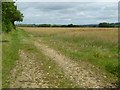 Headland track near Wellacres Farm