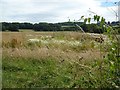 Farmland at Draycott