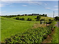 H4858 : Farm on a hill, Altanaveragh by Kenneth  Allen