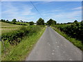 Corboe Road, Altanaveragh / Corkhill Demesne