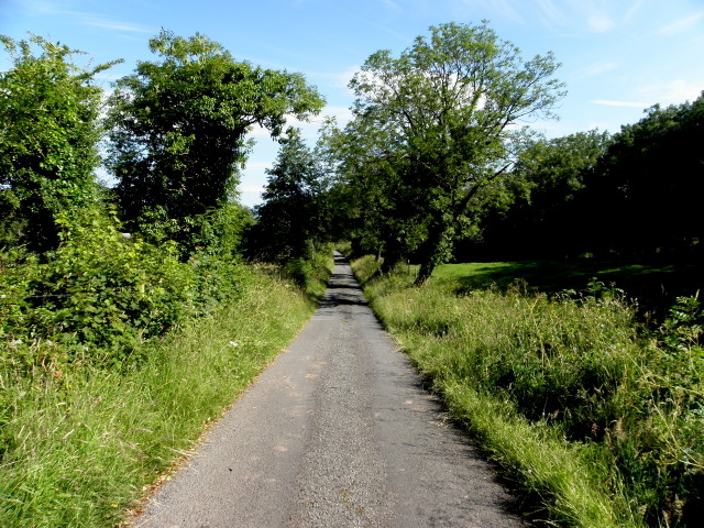 Bridle Road, Tatnadaveny © Kenneth Allen cc-by-sa/2.0 :: Geograph Ireland