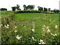 Tatnadaveny Townland