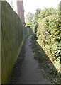 Footpath - Esk Gardens