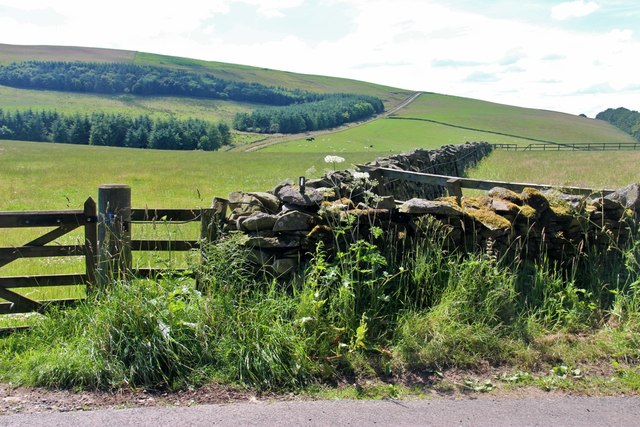 Drystane dyke at Dods © Alan Reid cc-by-sa/2.0 :: Geograph Britain and ...