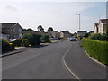 Otterwood Bank - viewed from Foxwood Walk