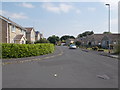 Otterwood Bank - viewed from Foxwood Walk