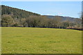 Field at the top of Colley Cliff