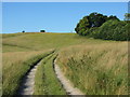 SU0569 : Path to Cherhill Hill by Gareth James