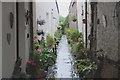 Colourful alleyway in Kirkudbright