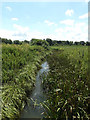 TM0179 : Little Ouse River off Thelnetham Road by Geographer