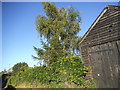 Garage and tree on Tickham Lane