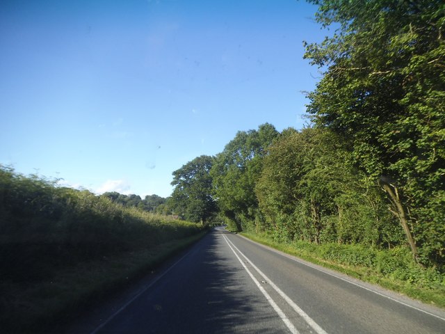 Gosport Road south of East Tisted