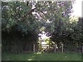 Footpath from Thurlaston to Enderby Road