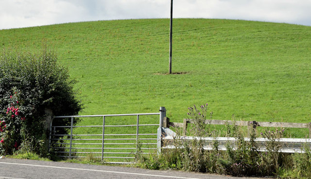 Field gate, Ballyrenan, Downpatrick (July 2016)