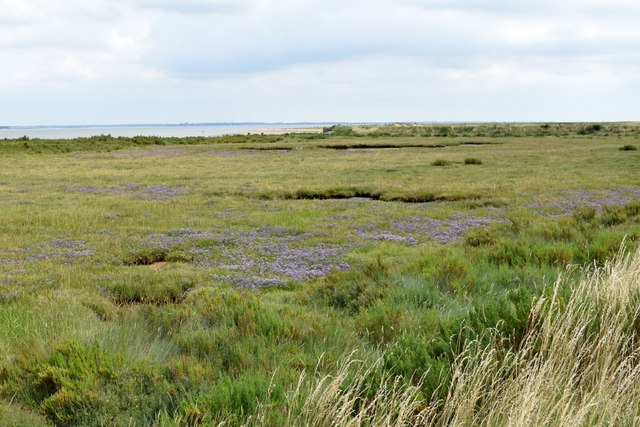 Salt-marsh on the north of the Dengie... © Trevor Harris cc-by-sa/2.0 ...