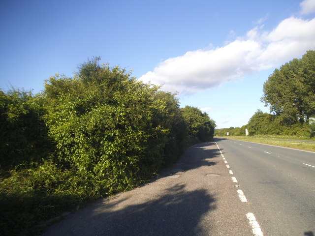 The A31 south of Alton