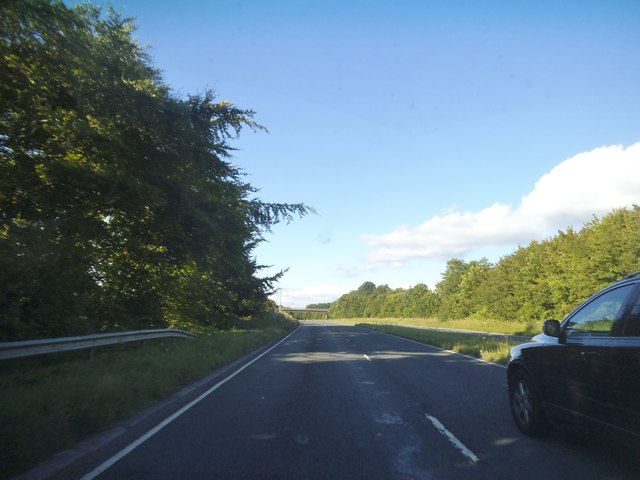 The A31 by Neatham Down