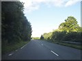 The A31, Lower Froyle