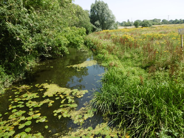 The River Beult near Headcorn © Marathon :: Geograph Britain and Ireland