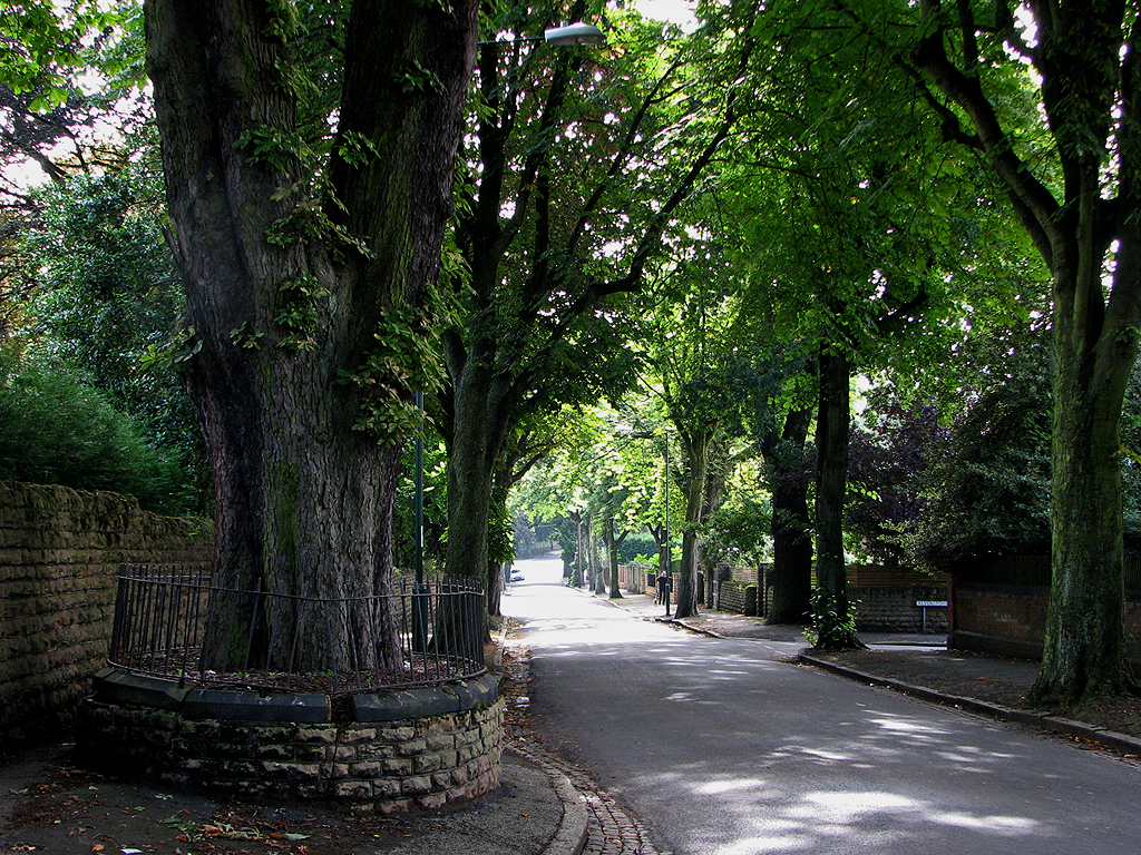 Mapperley Hall Drive © John Sutton :: Geograph Britain and Ireland