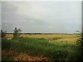 Farmland alongside the railway at New Holland