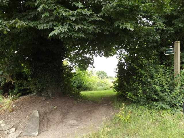 Footpath to Mill Lane