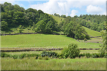 NY4902 : Fields and woods west of the River Sprint by Nigel Brown