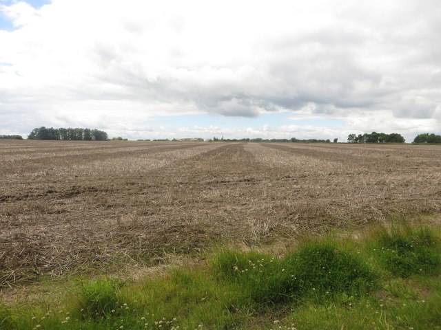 Fallow arable field at North Saltwick