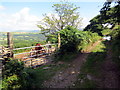 Llwybr Ffarm Gelli March / Gelli March Farm Path