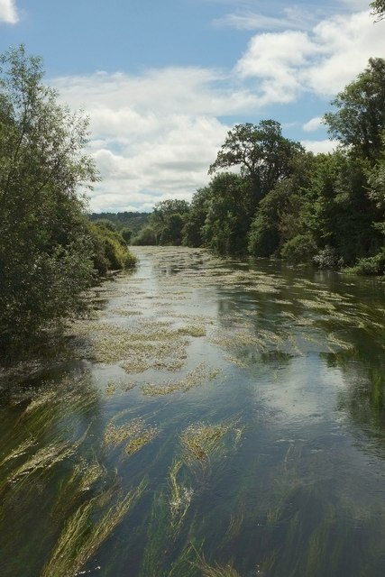 River Avon near Burgate