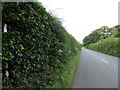 London Countryway in Kent (99)