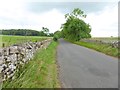 NY4431 : The road from Greystoke to Little Blencow by Oliver Dixon