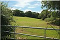 Grass field by the Avon Valley Path