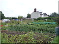 Allotments, Ellistown