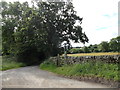 Country lane near Steeley Farm, Satley