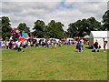 SU4211 : Mela Festival, Hoglands Park by David Dixon