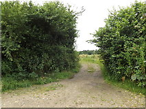 TL2012 : Bridleway to Hammond's Lane by Geographer
