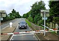 Crossing The A48