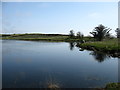 The south end of Loch Watenan